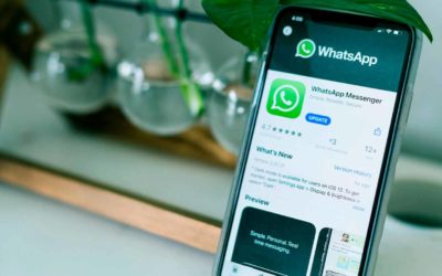 Quais notificações de WhatsApp Business são permitidas?